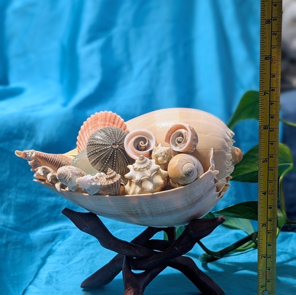 Decorative SeaScape on Wooden Stand - Picture 4 of 7